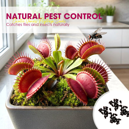 🌱【Amazing Venus Flytrap Seeds】—Grow Your Own Mini Carnivorous Monster!😱🌿
