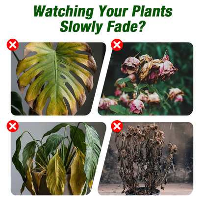 🌱【50ml Specialized Plant Growth Solution】—One drop awakens, sprouts grow like crazy!⚡💧