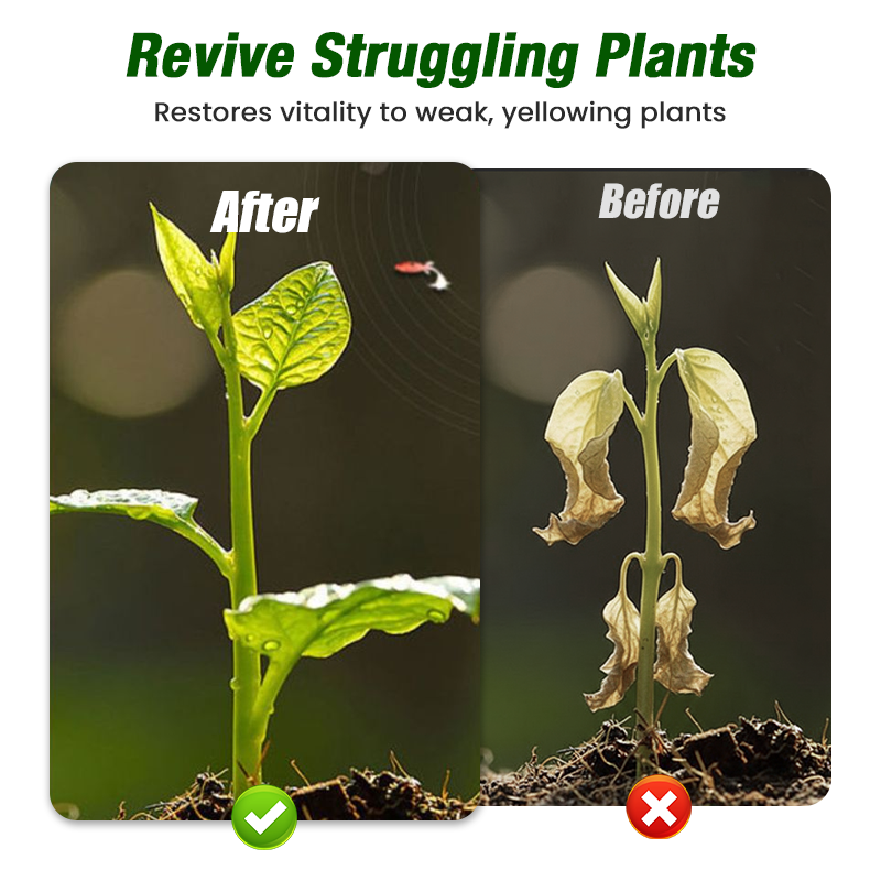 🌱【50ml Specialized Plant Growth Solution】—One drop awakens, sprouts grow like crazy!⚡💧