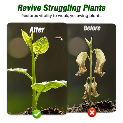 🌱【50ml Specialized Plant Growth Solution】—One drop awakens, sprouts grow like crazy!⚡💧