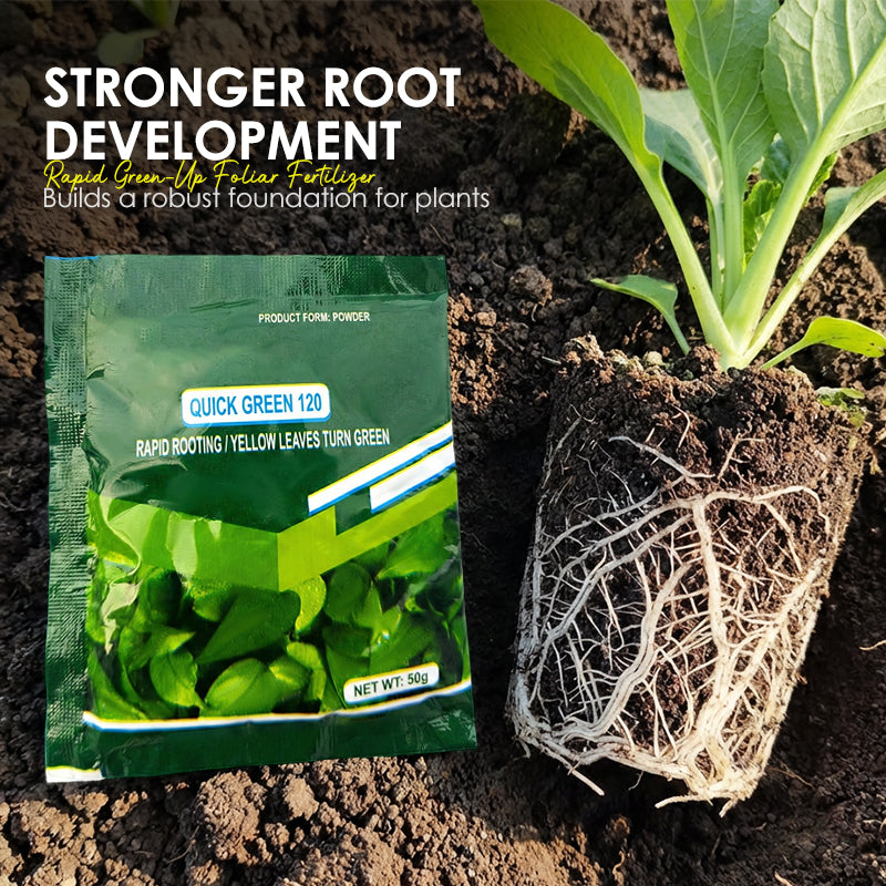 ⚡Rapid Green-Up Foliar Fertilizer 🍃