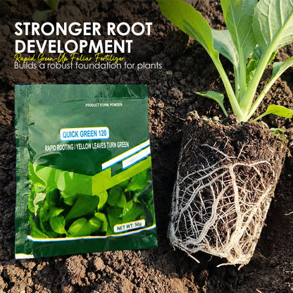 ⚡Rapid Green-Up Foliar Fertilizer 🍃