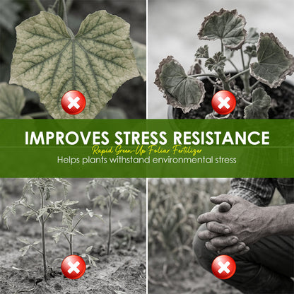⚡Rapid Green-Up Foliar Fertilizer 🍃