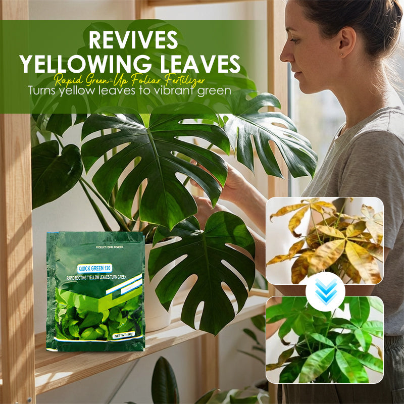 ⚡Rapid Green-Up Foliar Fertilizer 🍃