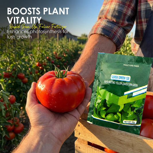 ⚡Rapid Green-Up Foliar Fertilizer 🍃