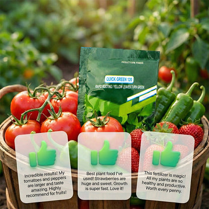 ⚡Rapid Green-Up Foliar Fertilizer 🍃