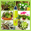 🌿【All-Purpose Indoor & Outdoor Plant Nutrient】—One bottle in hand, the world is yours!🌱🏡✨