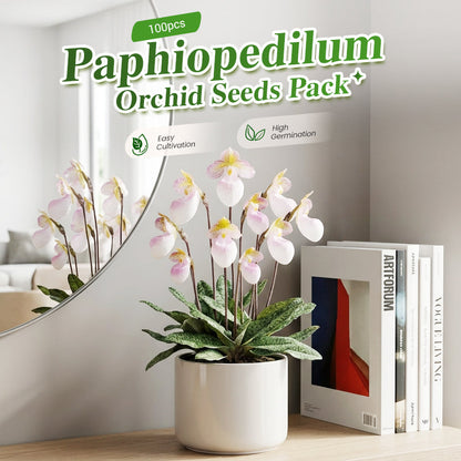 100pcs Paphiopedilum Orchid Seeds Pack