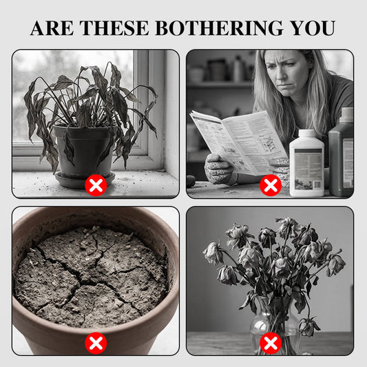 100pcs Paphiopedilum Orchid Seeds Pack