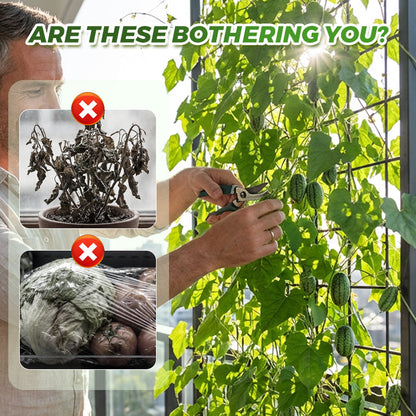 🍉【Mini Watermelon Seeds】— Every bite bursts with juice! 🤩 Grow this salad favorite on your balcony! 💫✨