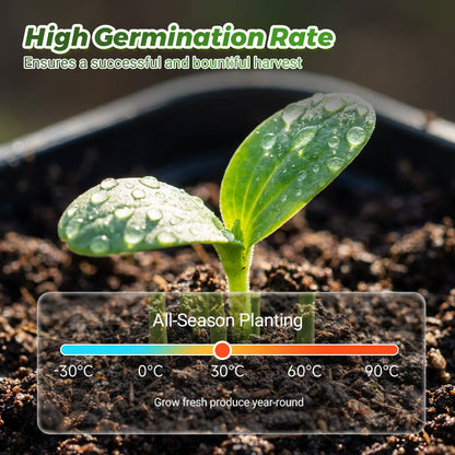 🍉【Mini Watermelon Seeds】— Every bite bursts with juice! 🤩 Grow this salad favorite on your balcony! 💫✨