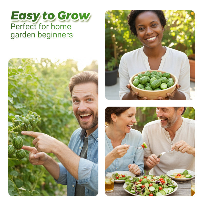 🍉【Mini Watermelon Seeds】— Every bite bursts with juice! 🤩 Grow this salad favorite on your balcony! 💫✨