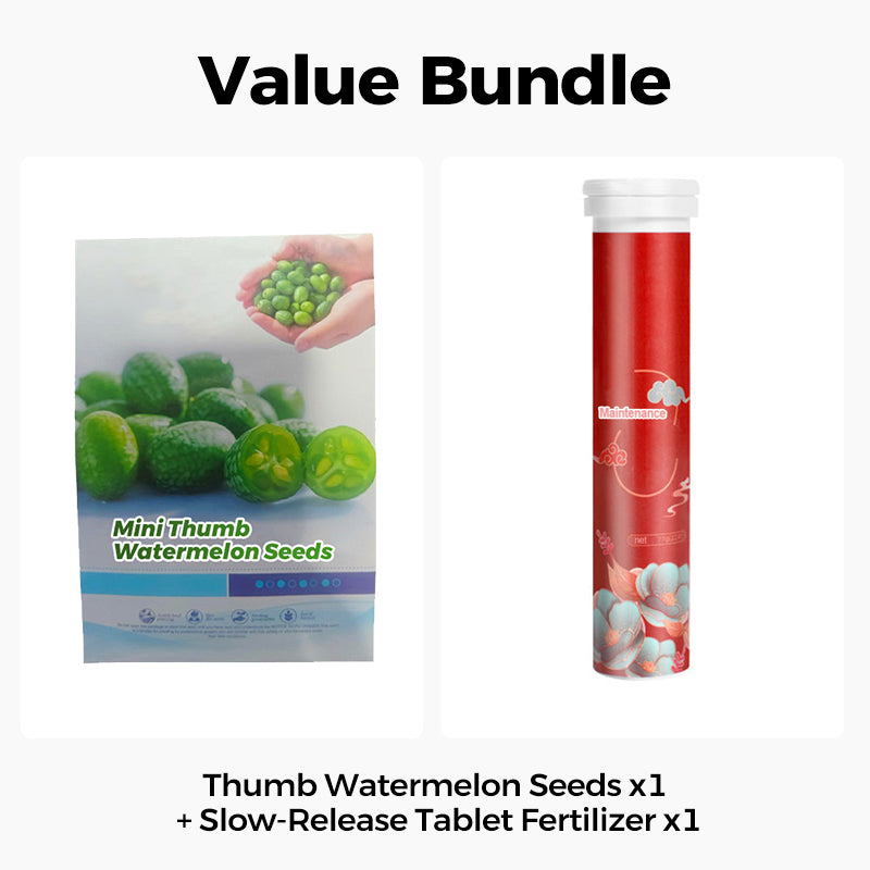 🍉【Mini Watermelon Seeds】— Every bite bursts with juice! 🤩 Grow this salad favorite on your balcony! 💫✨