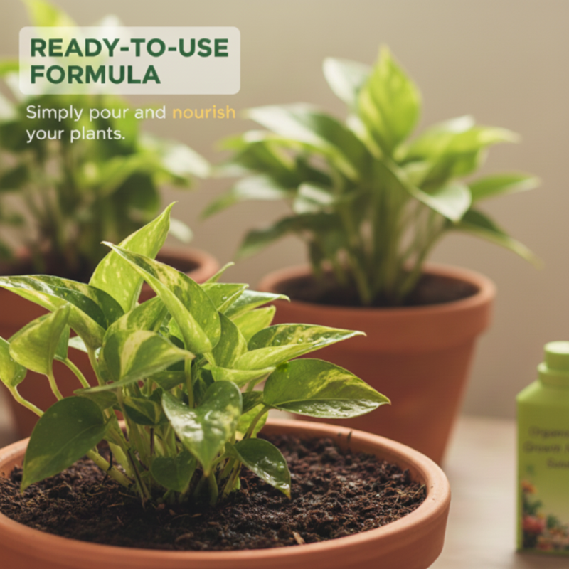 🌿【Organic Growth Essence】— EU-certified, one drop awakens plants' natural vitality!⚡