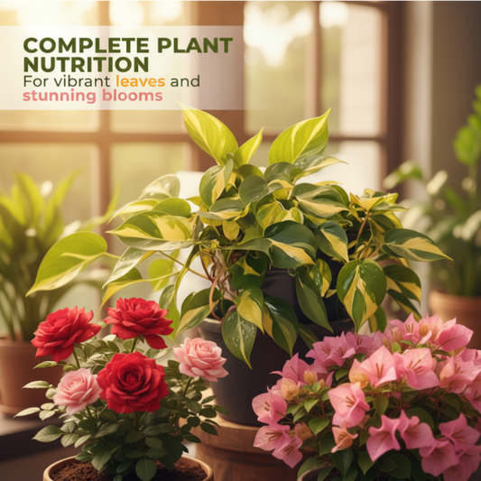 🌿【Organic Growth Essence】— EU-certified, one drop awakens plants' natural vitality!⚡