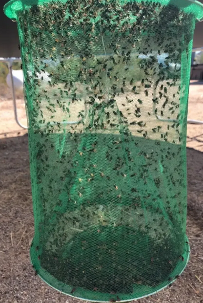 ⚡ Quick Fly Trap — 100% Non-Toxic, Reusable ❣️