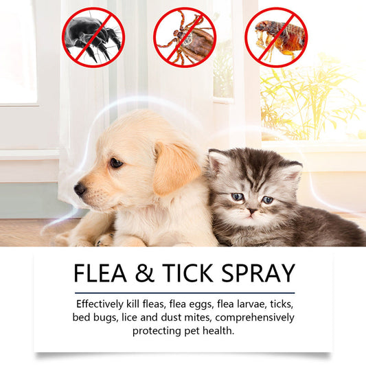 ⏳Limited-Time Offer: Buy 2 Get 1 FREE!✨️🌿The #1 Plant-Based Flea
