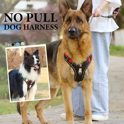 🦮 No‑Pull Dog Harness Kit with Leash & LED Collar – Escape‑Proof, Breathable Padding & Night Visibility 💡