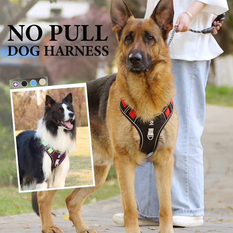 🎁2026 New Arrivals 🐶 LED No-Pull Dog Harness Kit with Leash – Safer, More Comfortable Walks Day & Night
