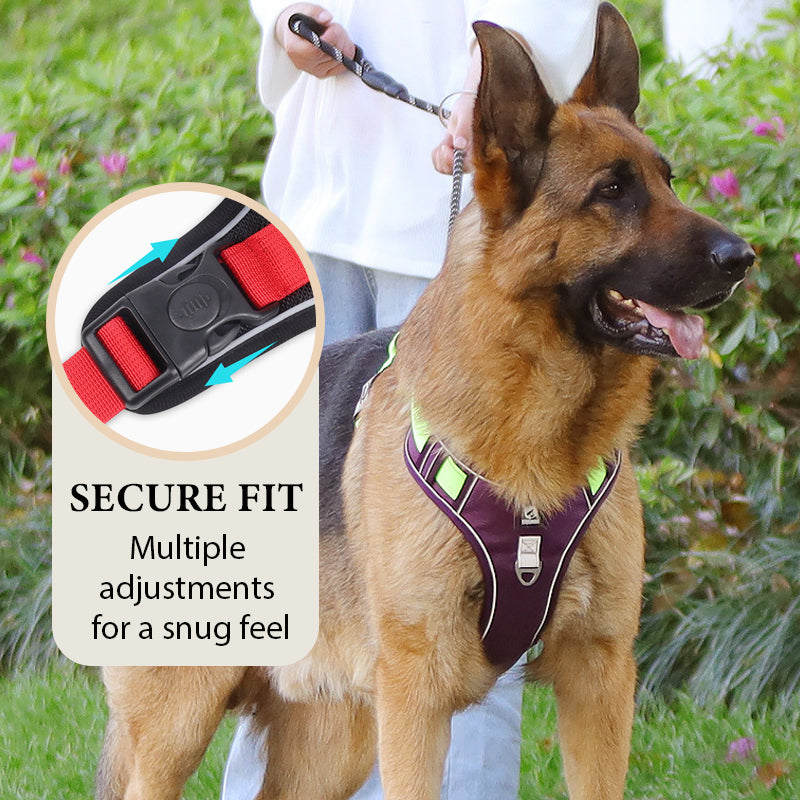 🦮 No‑Pull Dog Harness Kit with Leash & LED Collar – Escape‑Proof, Breathable Padding & Night Visibility 💡