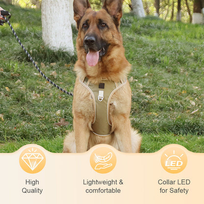 🎁2026 New Arrivals 🐶 LED No-Pull Dog Harness Kit with Leash – Safer, More Comfortable Walks Day & Night