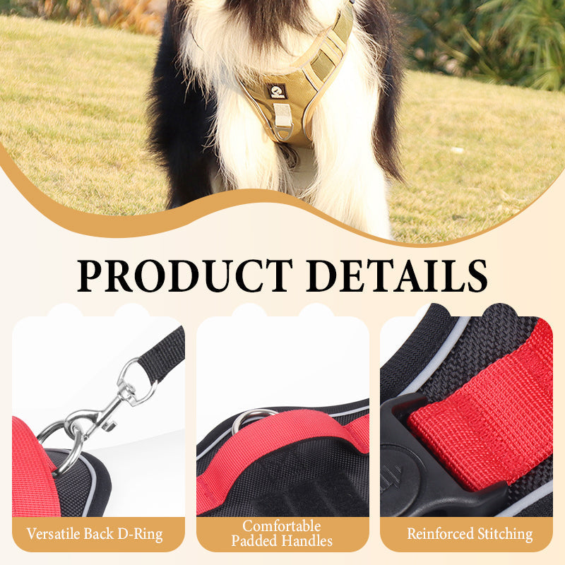 🦮 No‑Pull Dog Harness Kit with Leash & LED Collar – Escape‑Proof, Breathable Padding & Night Visibility 💡