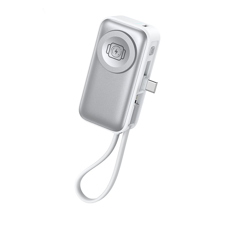 4-in-1 Portable Fast Charging Power Bank