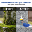 ⏰🎁Headstone Cleaning & Restoration Spray – Remove Stains Instantly