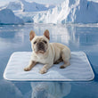 Breathable Washable Pet Cooling Mat