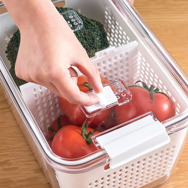 🔥60%OFF  Sale🔥Fresh Produce Vegetable Fruit Storage Container