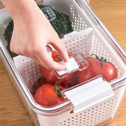 🔥60%OFF  Sale🔥Fresh Produce Vegetable Fruit Storage Container