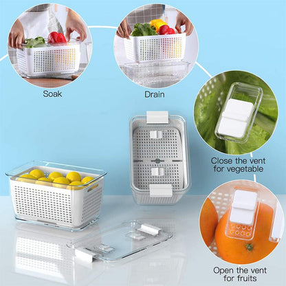 🔥60%OFF  Sale🔥Fresh Produce Vegetable Fruit Storage Container