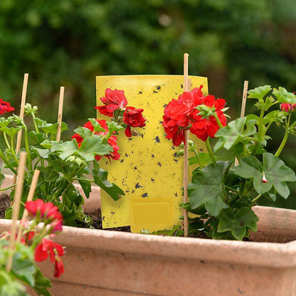 20-Pack Dual-Sided Sticky Traps