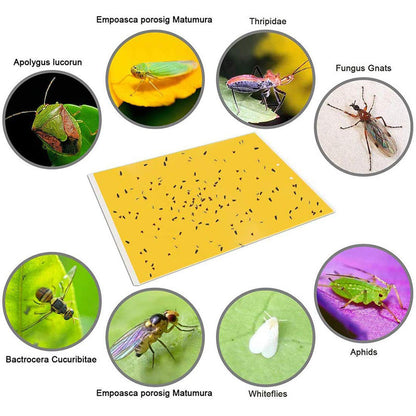20-Pack Dual-Sided Sticky Traps