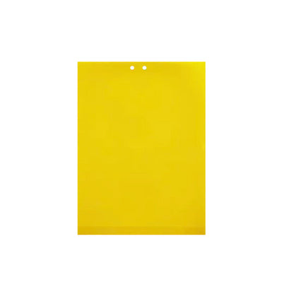 20-Pack Dual-Sided Sticky Traps