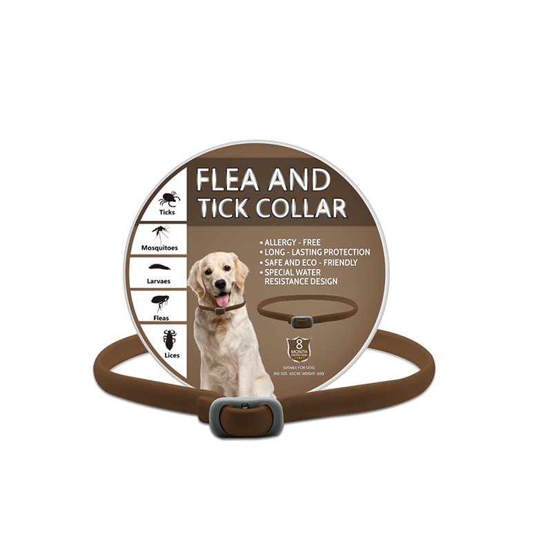 ⏳Limited-time 50% off⏰Natural Essential Oil Pet Pest Repellent Collar🐶🛡️