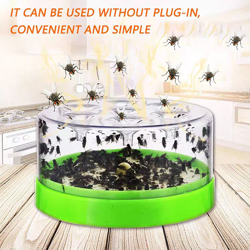 ♻️ Reusable fly trap—no electricity, no poison! 🏠 Safe to use in the kitchen and around children and pets.