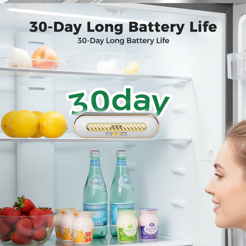 🔥HOT SALE 50% OFF🔥Rechargeable Portable Fridge Sterilizer