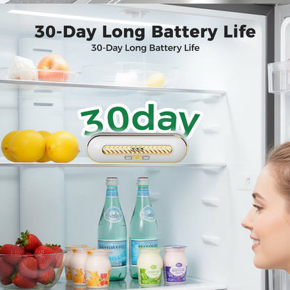🔥HOT SALE 50% OFF🔥Rechargeable Portable Fridge Sterilizer