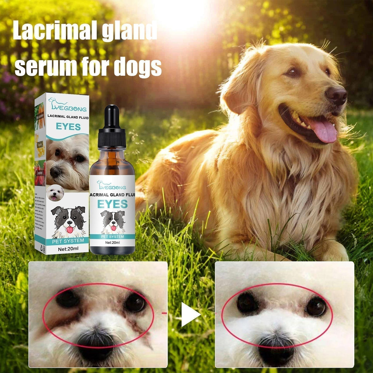 🏆 Last Day Special Price £9.99! 🐶Buy 1 Get 1 Free🐱Pet Eye Cleaner & Drops – Gentle pH‑balanced formula, safe for dogs & cats. Soothes redness, removes tear stains & daily dirt. No peroxide! 🌿💧