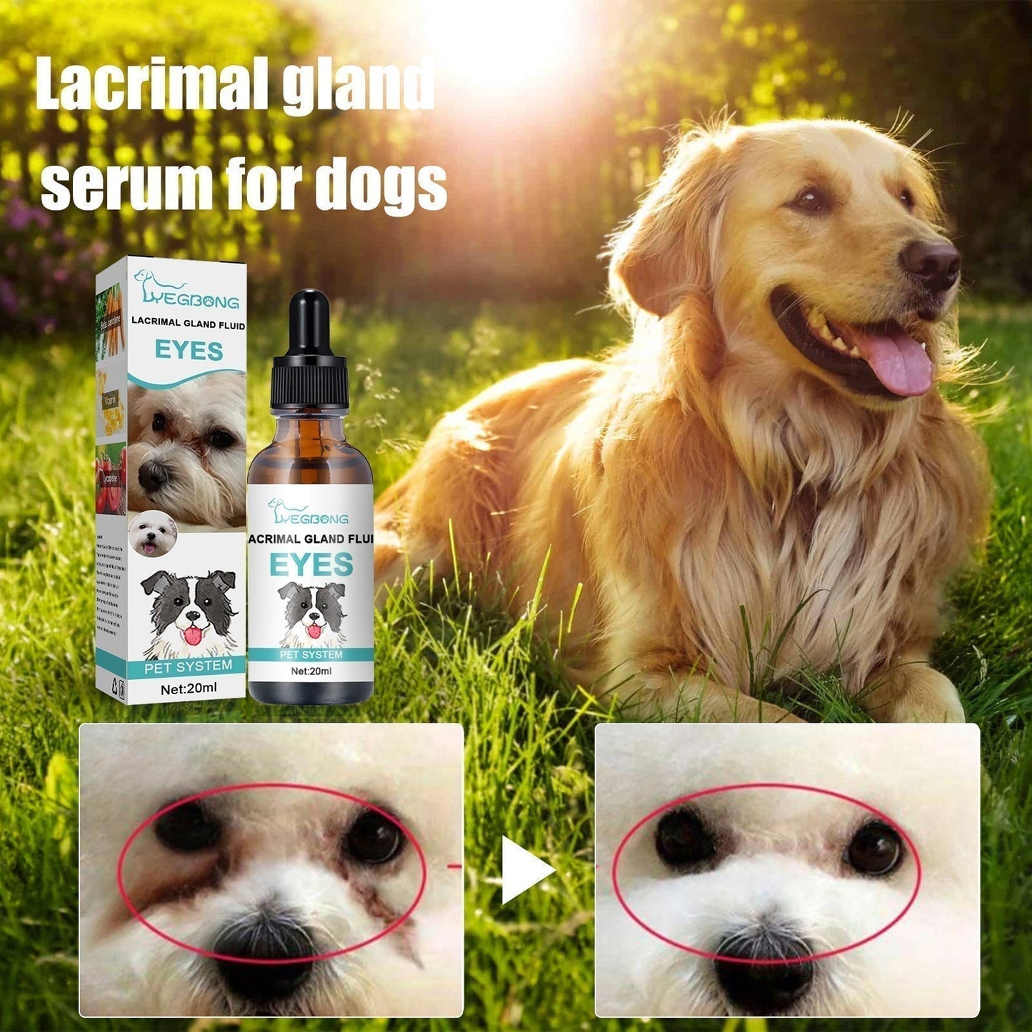 🏆 Last Day Special Price £9.99! 🐶Buy 1 Get 1 Free🐱Pet Eye Cleaner & Drops – Gentle pH‑balanced formula, safe for dogs & cats. Soothes redness, removes tear stains & daily dirt. No peroxide! 🌿💧