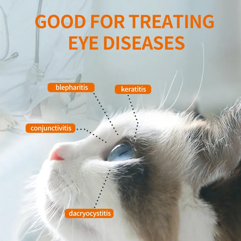🏆 Last Day Special Price £9.99! 🐶Buy 1 Get 1 Free🐱Pet Eye Cleaner & Drops – Gentle pH‑balanced formula, safe for dogs & cats. Soothes redness, removes tear stains & daily dirt. No peroxide! 🌿💧