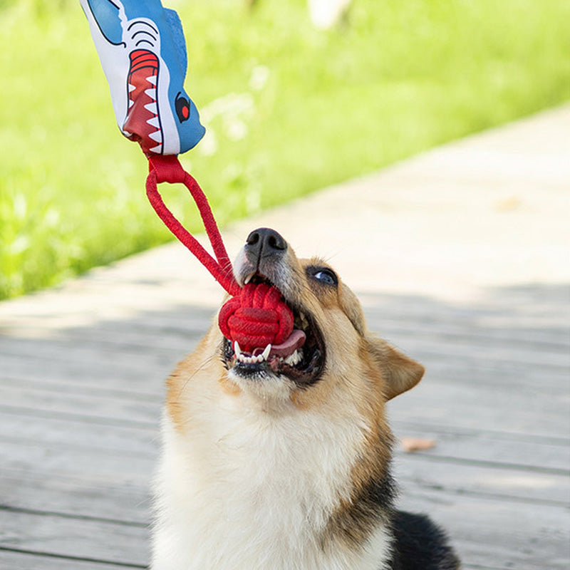 🐾Hot Sale 70% OFF🐾Dog Chew Rope Knot Toy With Handle