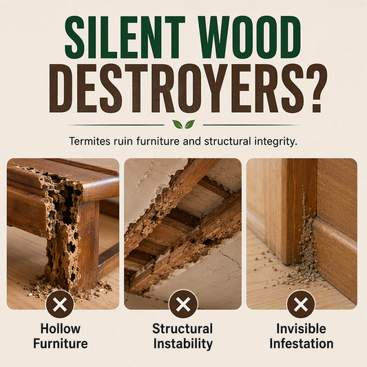 Multi-Surface Wood Termite Repellent Spray