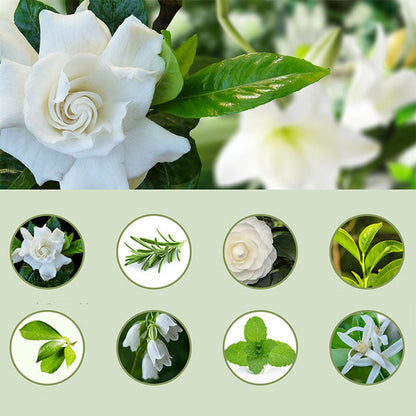 🌿 Automatic Aromatherapy Diffuser – 4-Level Timed USB Fragrance Sprayer