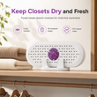 🔥 Mini Reusable Household Dehumidifier.