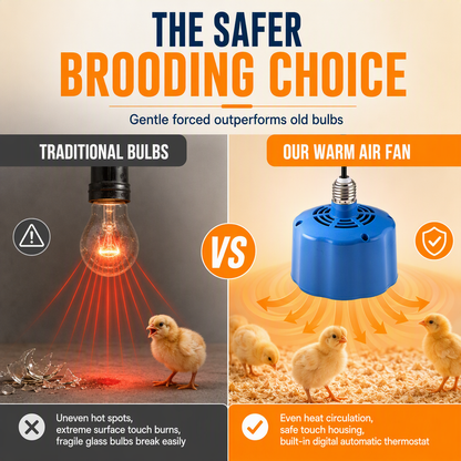 ⏳Intelligent Temperature Control Brooder Heater🐣🌡️