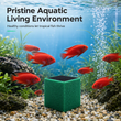 🐠 Activated Carbon Filter Cube – Honeycomb filtration for clear water 🛡️