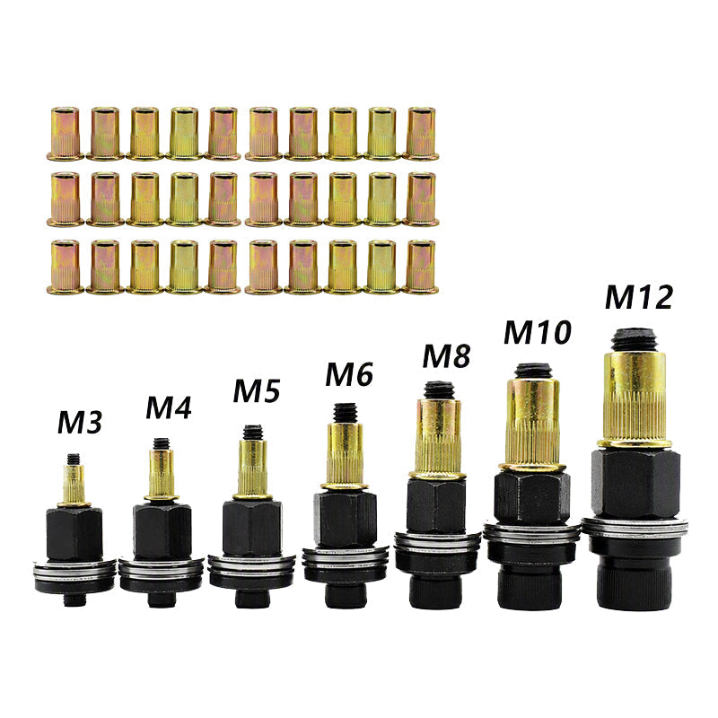 Rivet Nut Assortment Kit for Automotive Repair