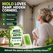 6 Pieces Mold Removal Patches for Household Walls Kitchen and Bathroom Mildew Purification Pads